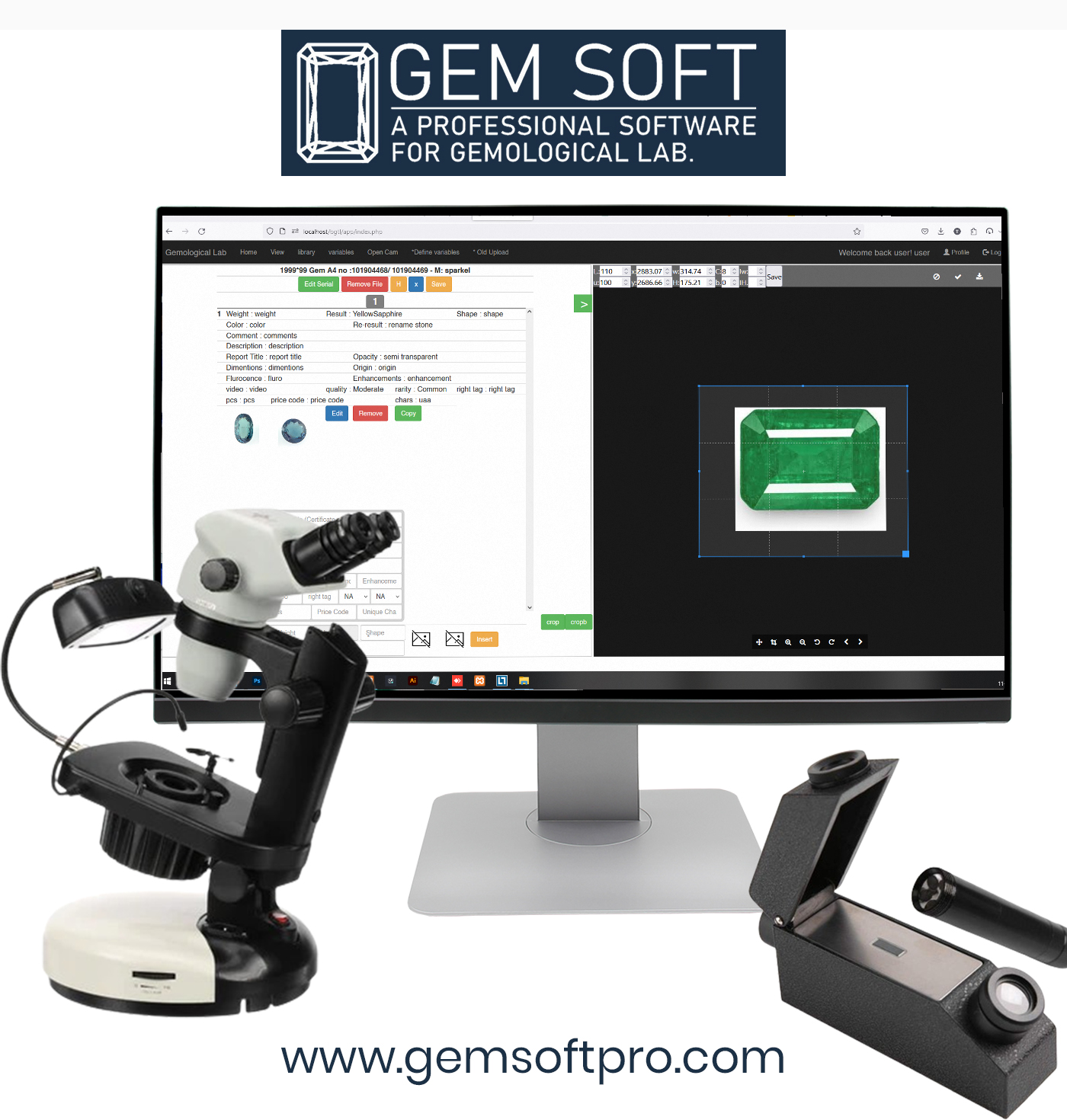 gem tesing lab software usa,usa gemological software,system for gemology,gemology software,software for gemstones